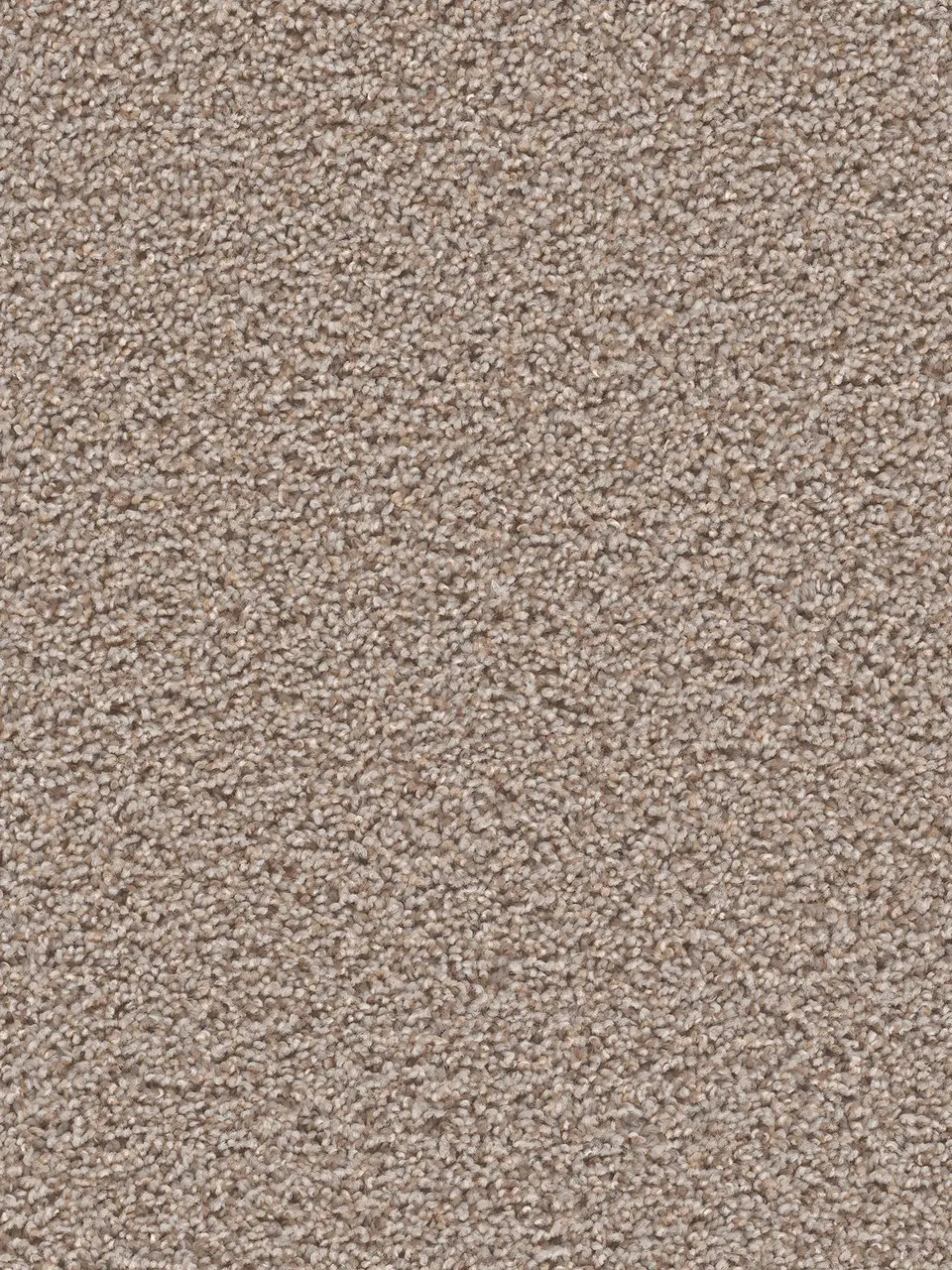 Carpet | Floor to Ceiling Ottumwa