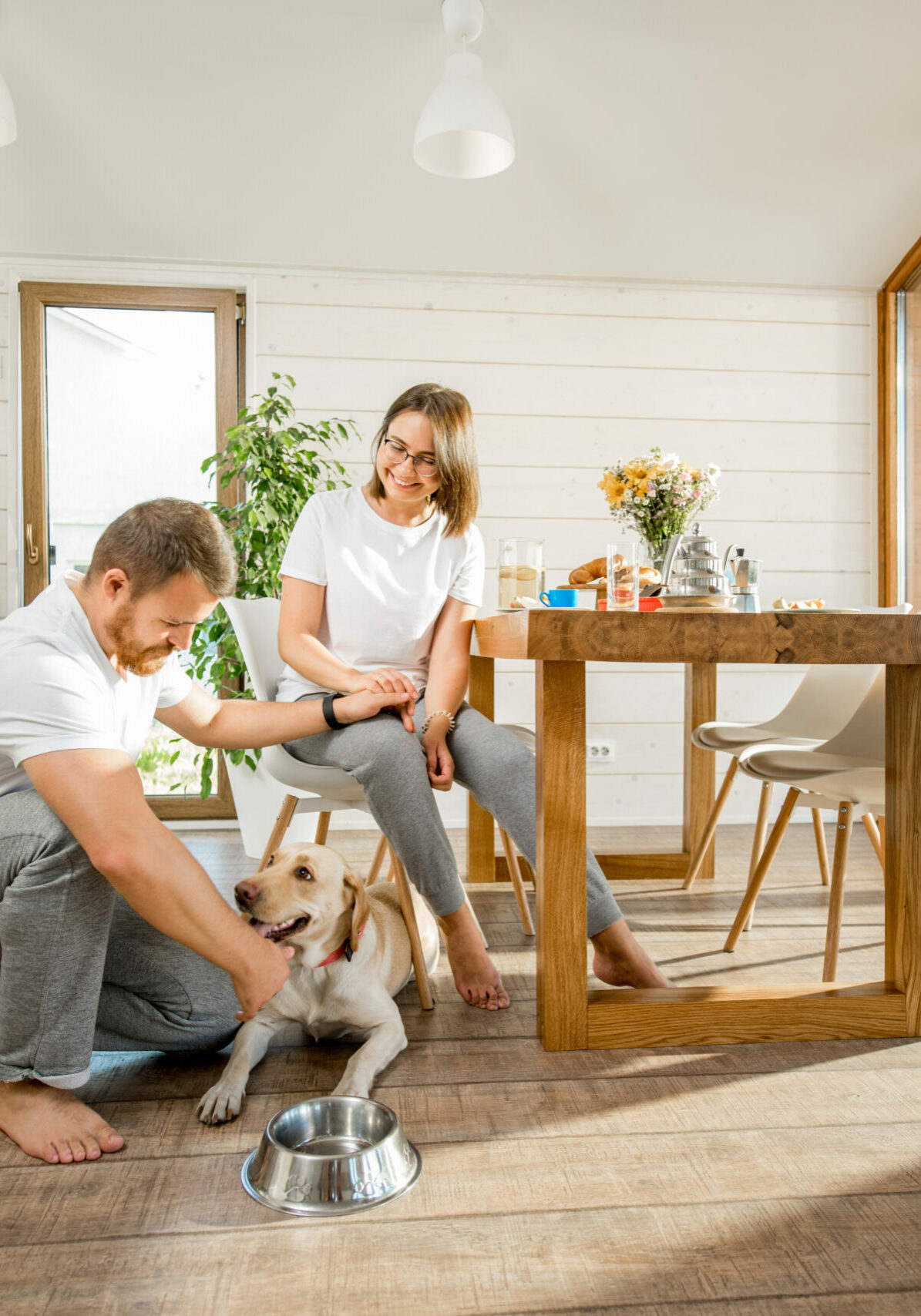 Young couple playing with dog | Floor to Ceiling Ottumwa